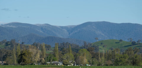 farm1